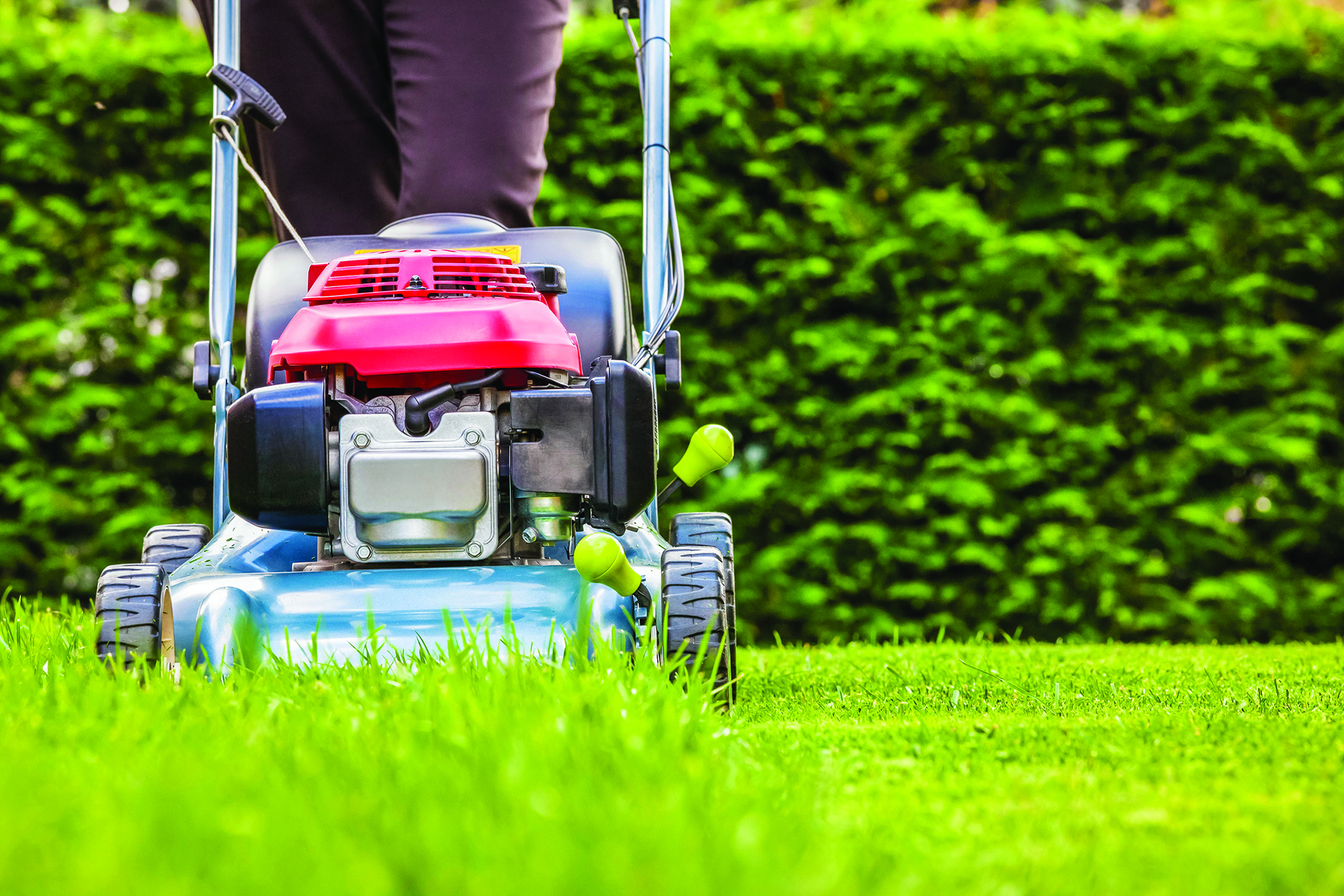 landscaping companies